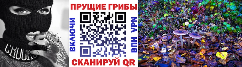 Псилоцибиновые грибы MAGIC MUSHROOMS Куйбышев